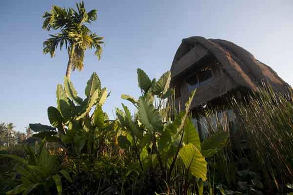 Ubud Hidden Villa Yone Village Exterior photo